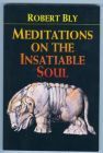 Meditations on the Insatiable Soul book cover