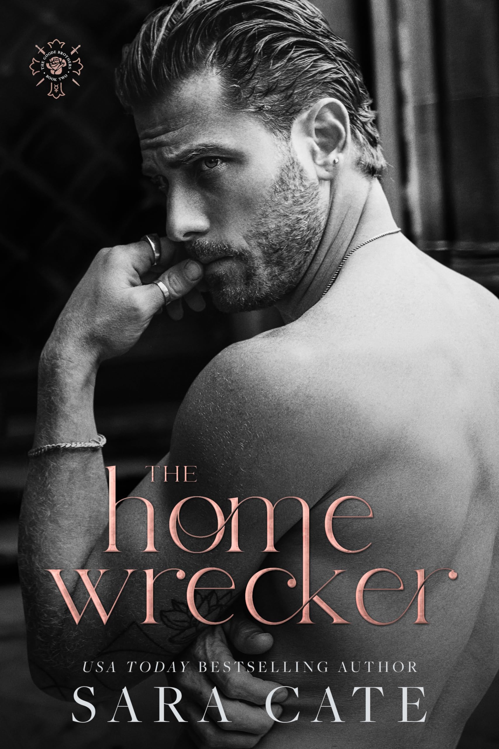 The Goode Brothers book cover 2