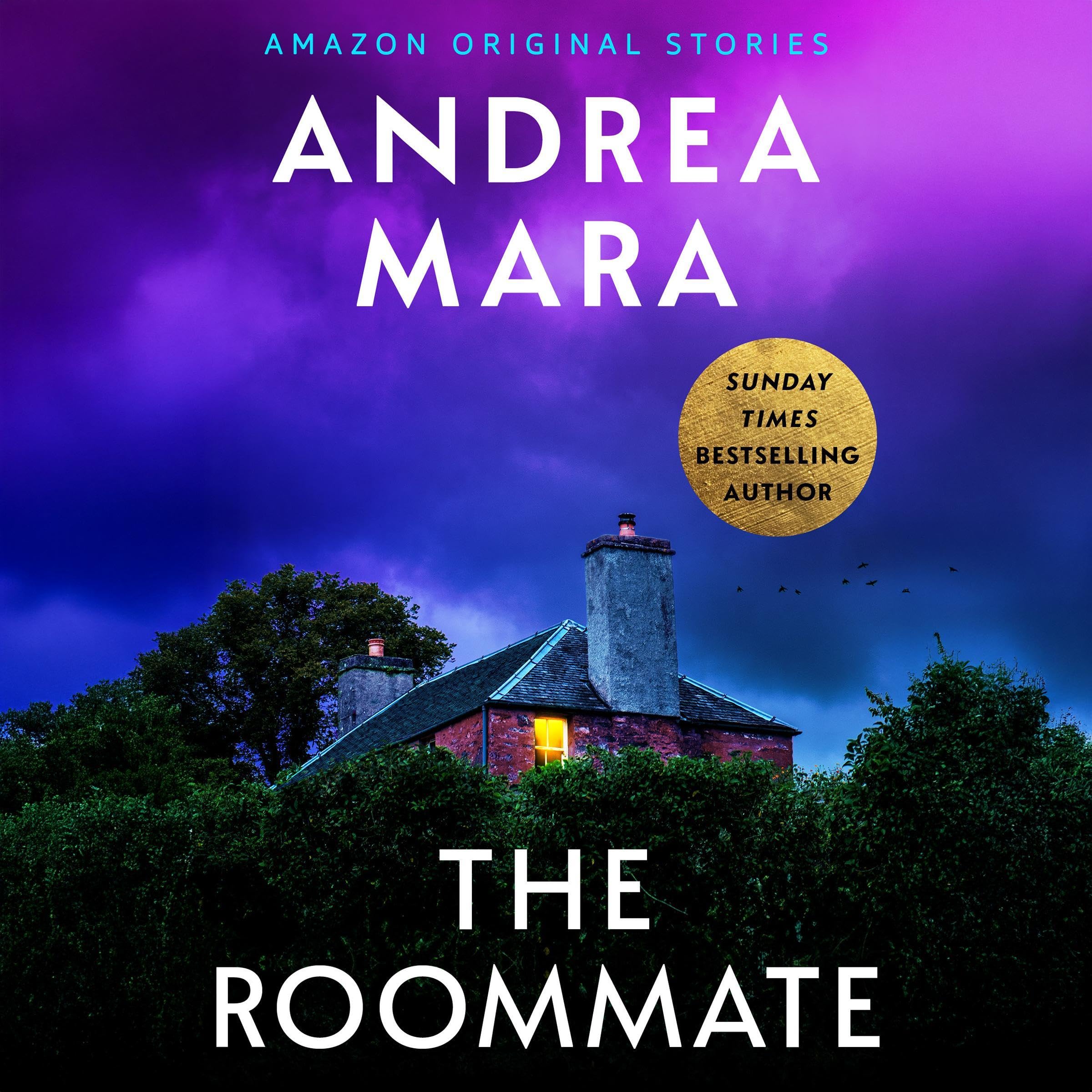 The Roommate book cover