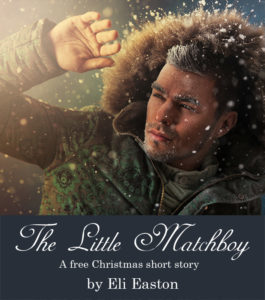 The Little Matchboy book cover