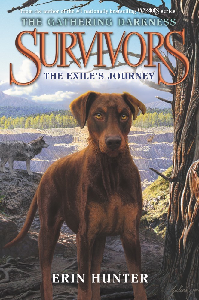 The Exile's Journey book cover