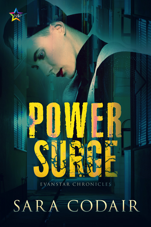 Evanstar Chronicles book cover 1