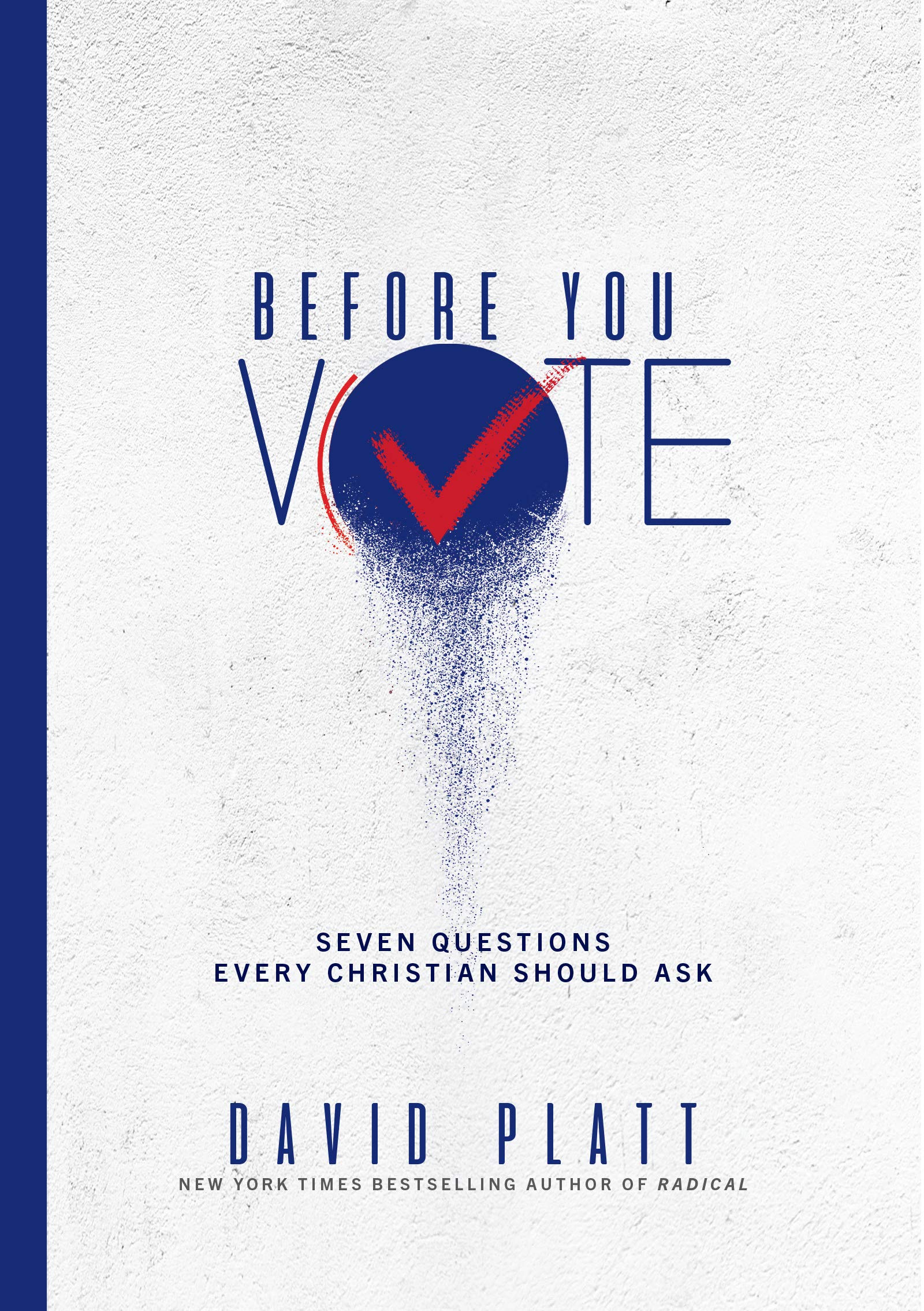 Before You Vote book cover