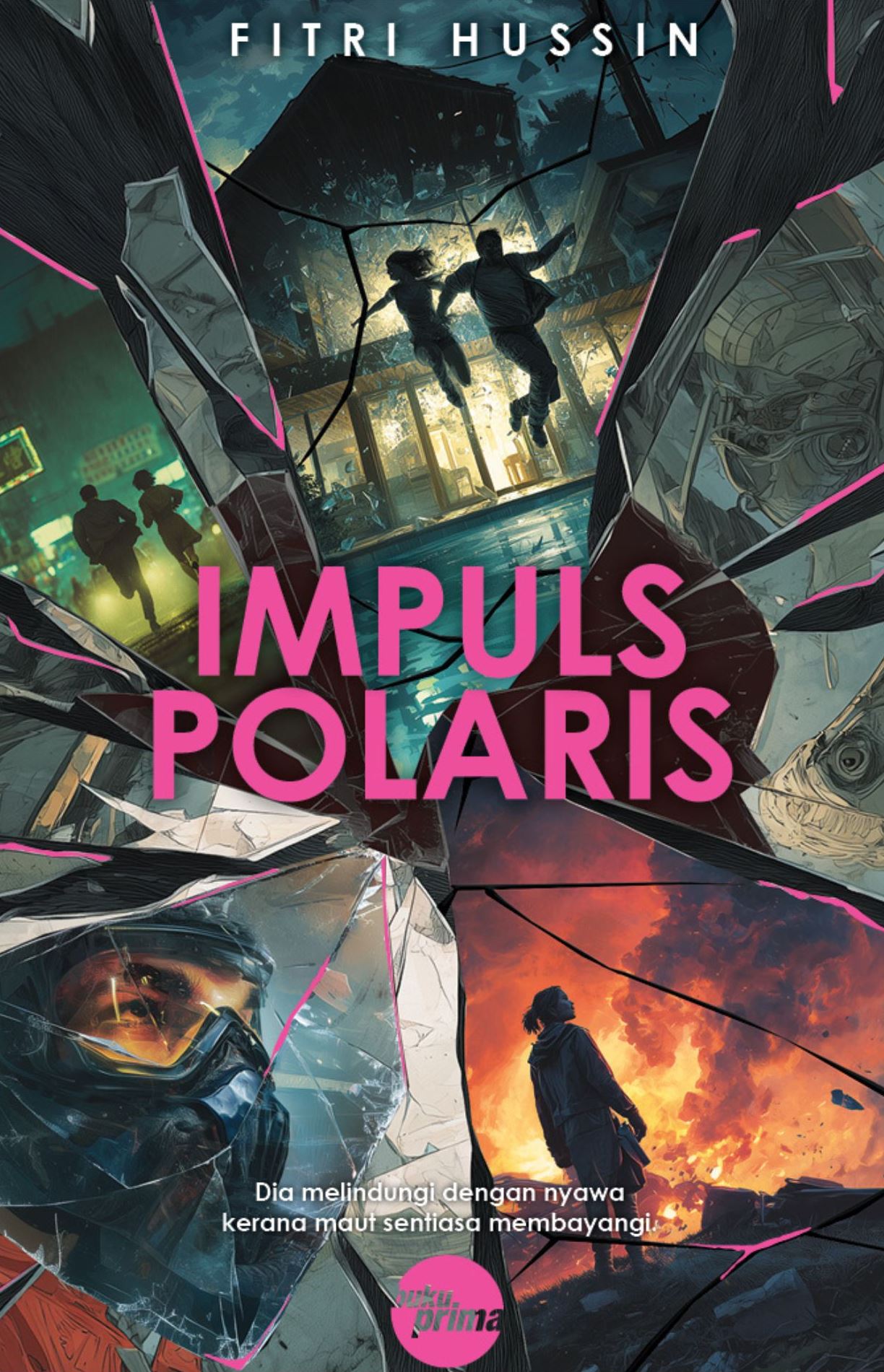 Impuls Polaris book cover