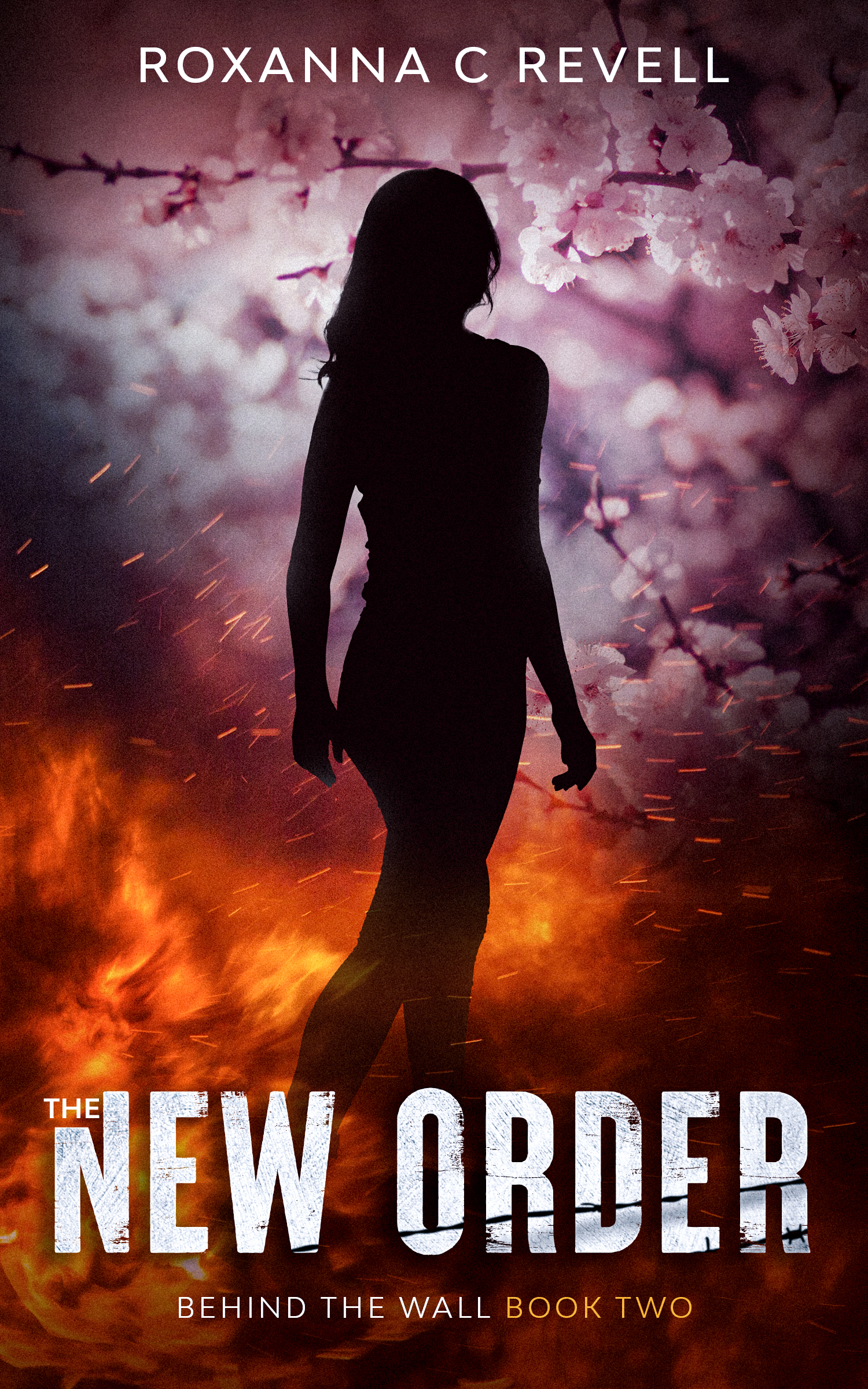 Behind the Wall book cover 2