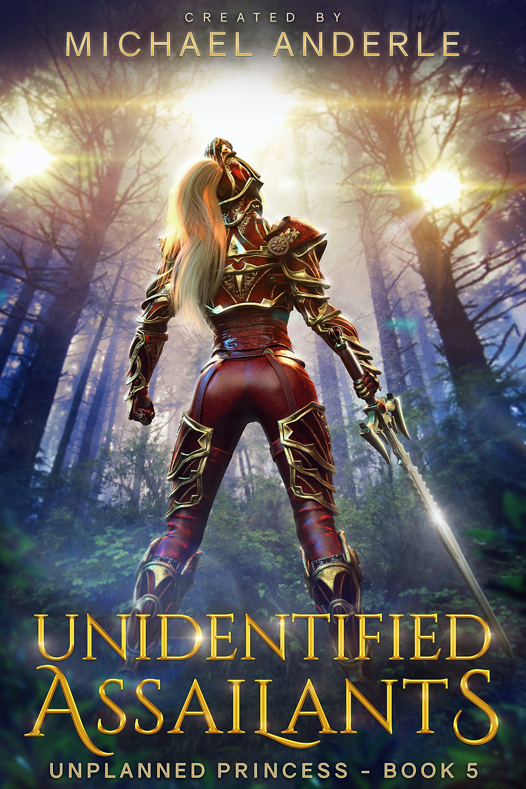 Unidentified Assailants book cover