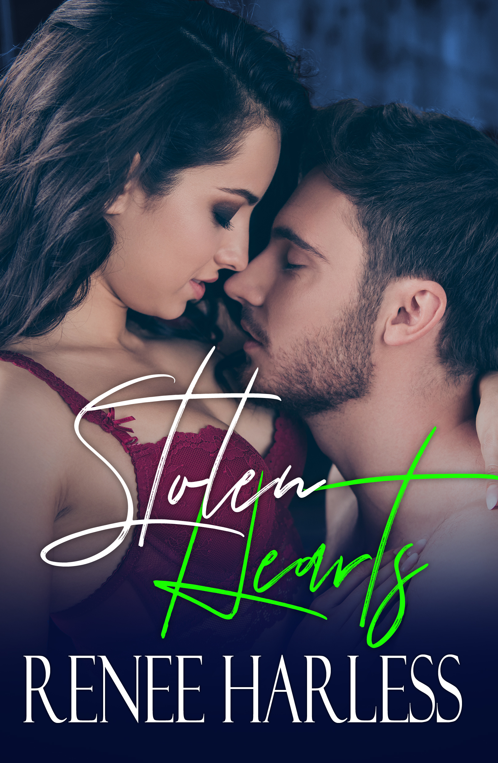 Stolen book cover 3