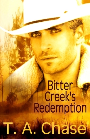 Ramsey Family Chronicles book cover 1