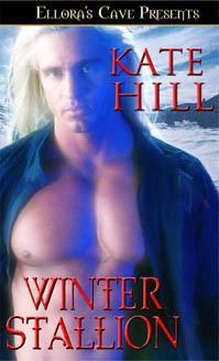 Winter Stallion book cover