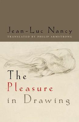 The Pleasure in Drawing book cover