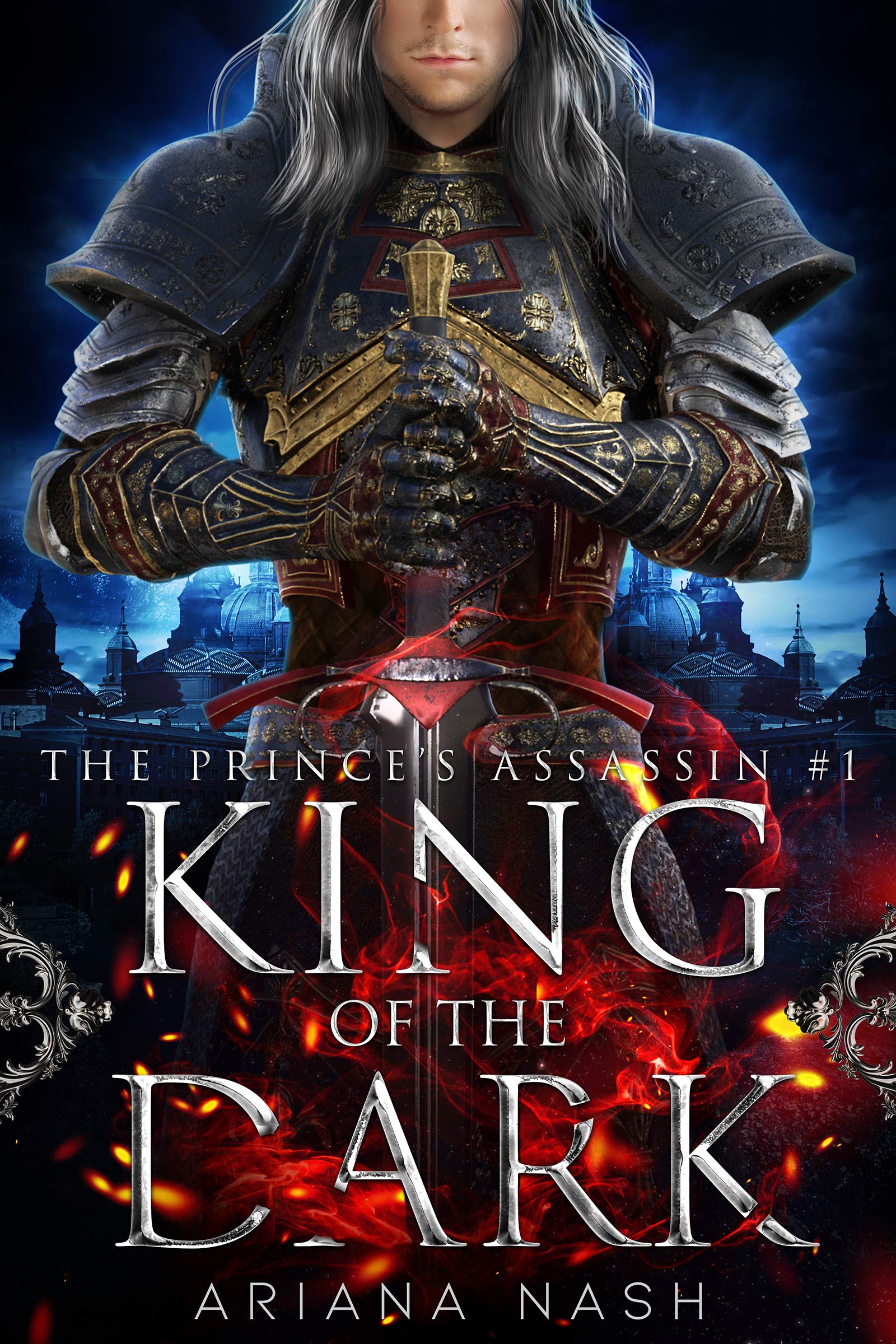 The Prince's Assassin book cover 1