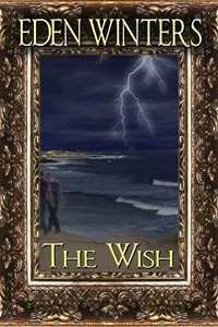 The Wish book cover 1