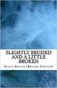 Slightly Bruised and a Little Broken book cover