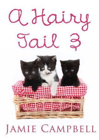 A Hairy Tail book cover 3