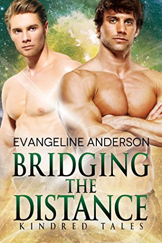 Bridging the Distance book cover