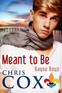 Bayou Boys book cover 1