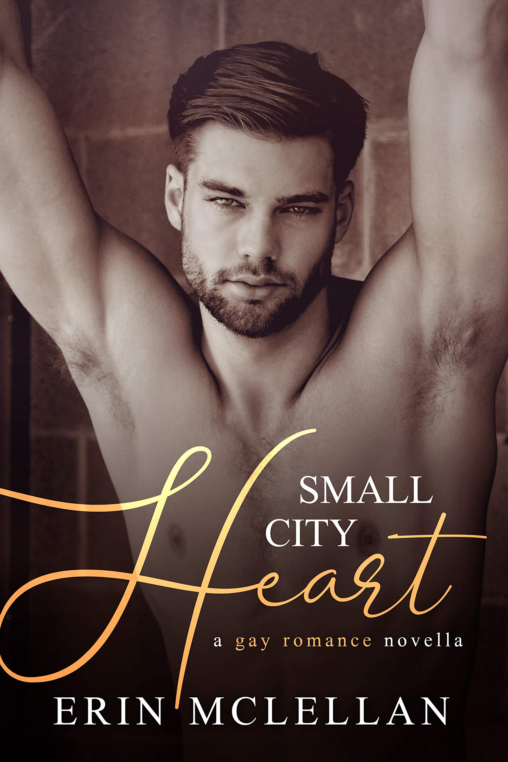 Small City Heart book cover