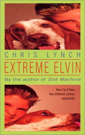 Elvin book cover 2