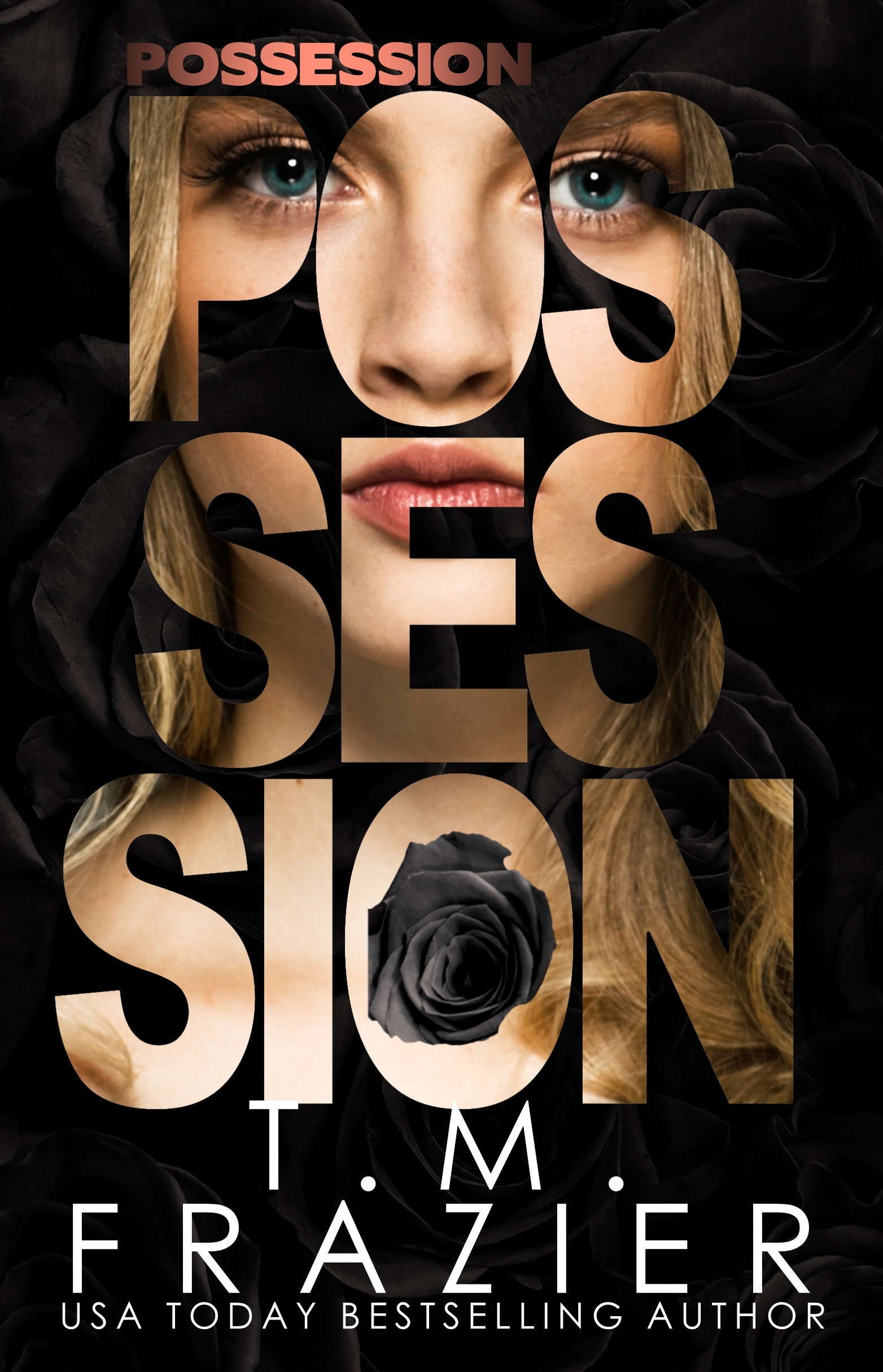 Perversion Trilogy book cover 2