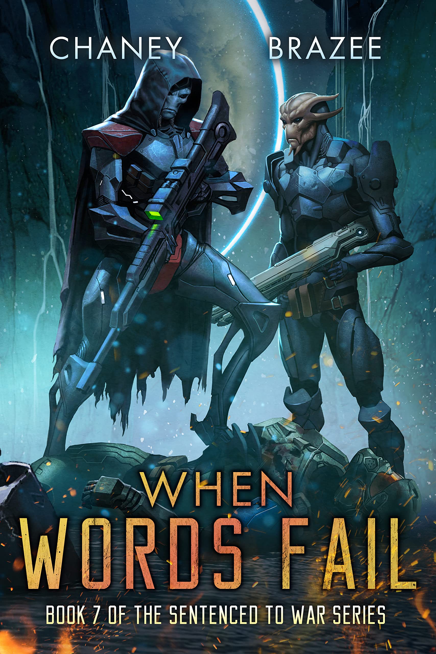 When Words Fail book cover