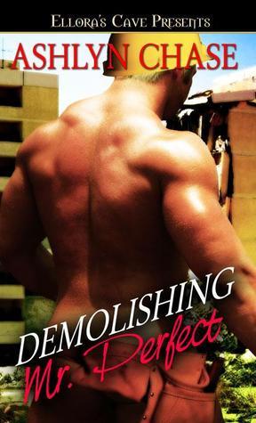 Demolishing Mr. Perfect book cover