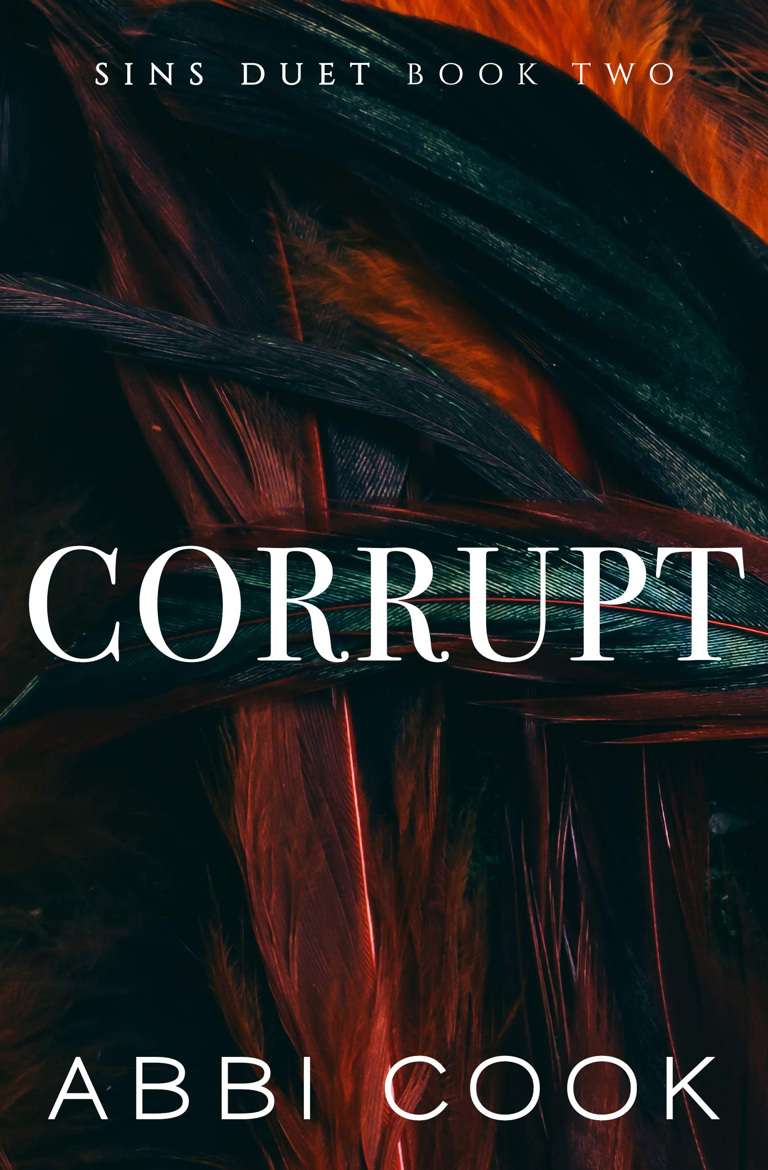 Sins Duet book cover 1