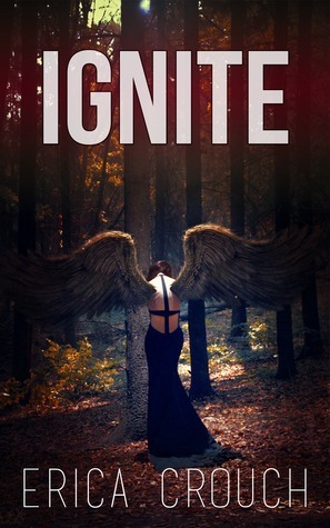 Ignite book cover 1
