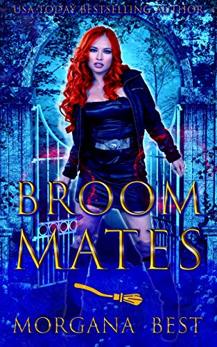 Sea Witch Cozy Mysteries book cover 1