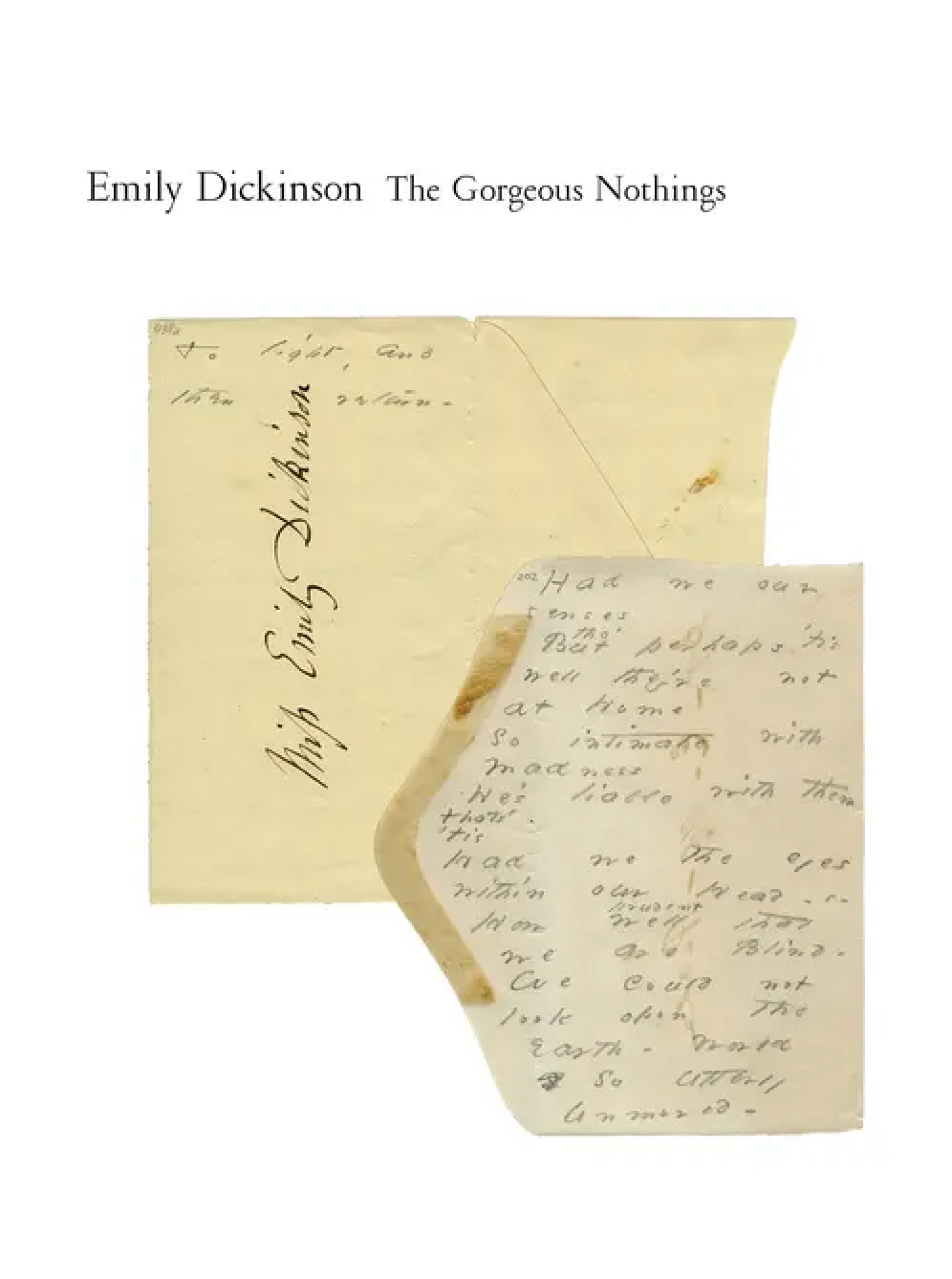 The Gorgeous Nothings book cover