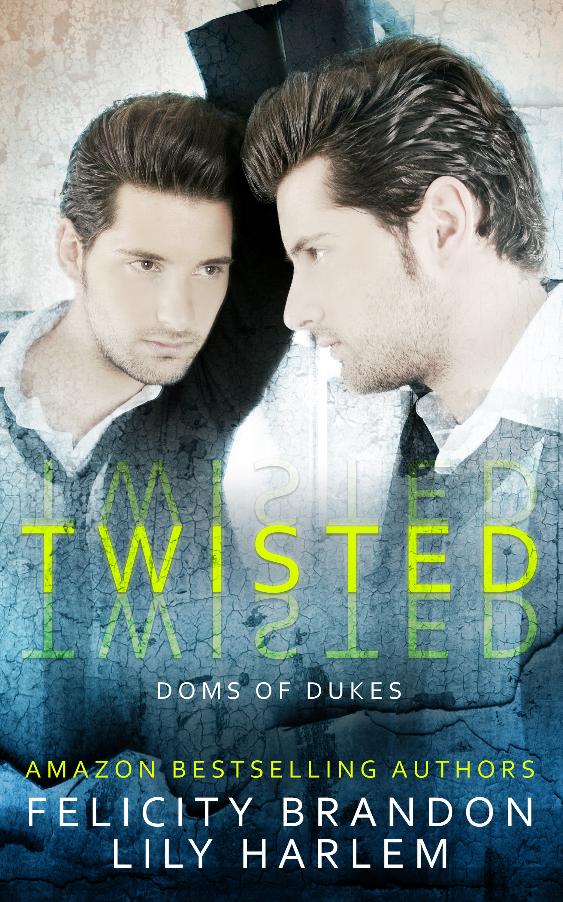 Twisted book cover