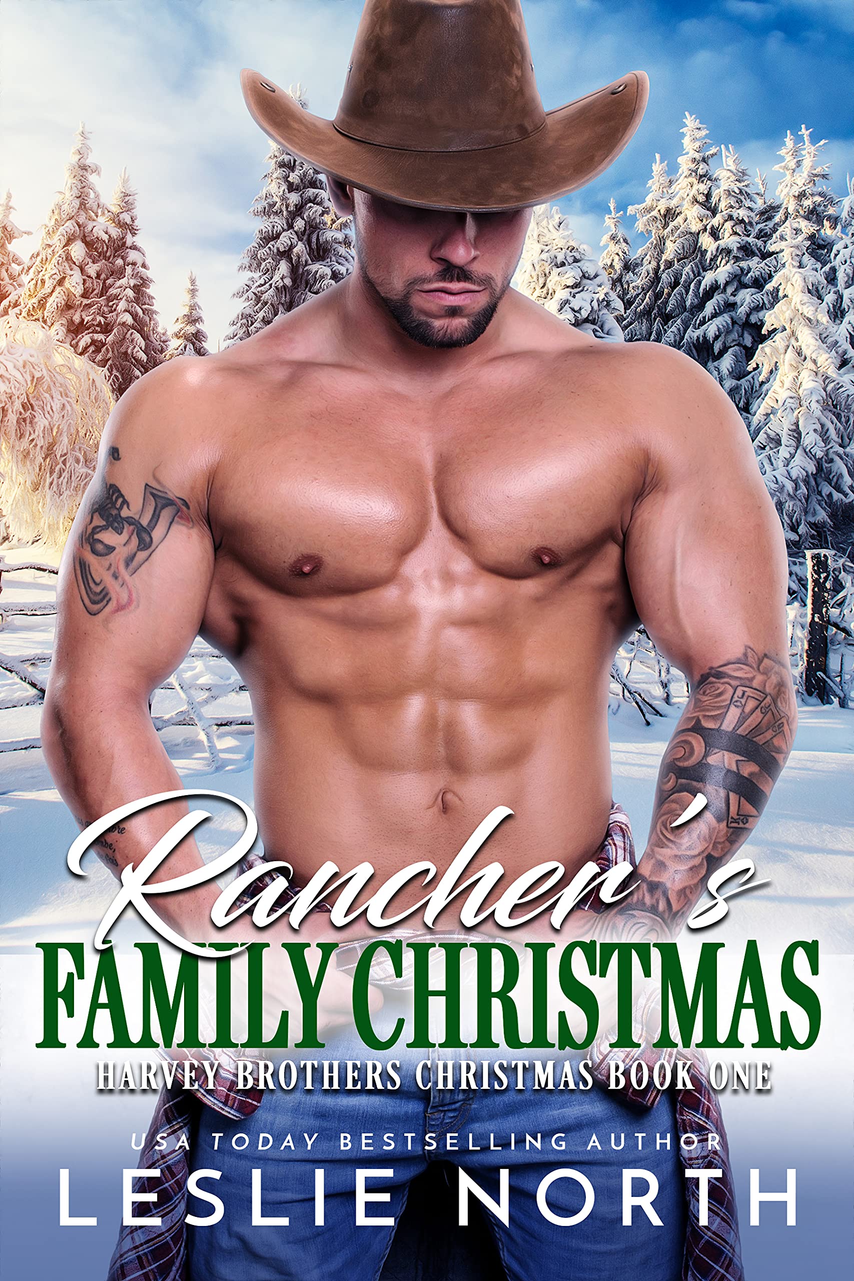 Christmas at the Harvey Ranch book cover 1