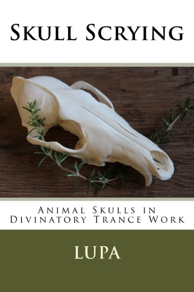 Skull Scrying book cover