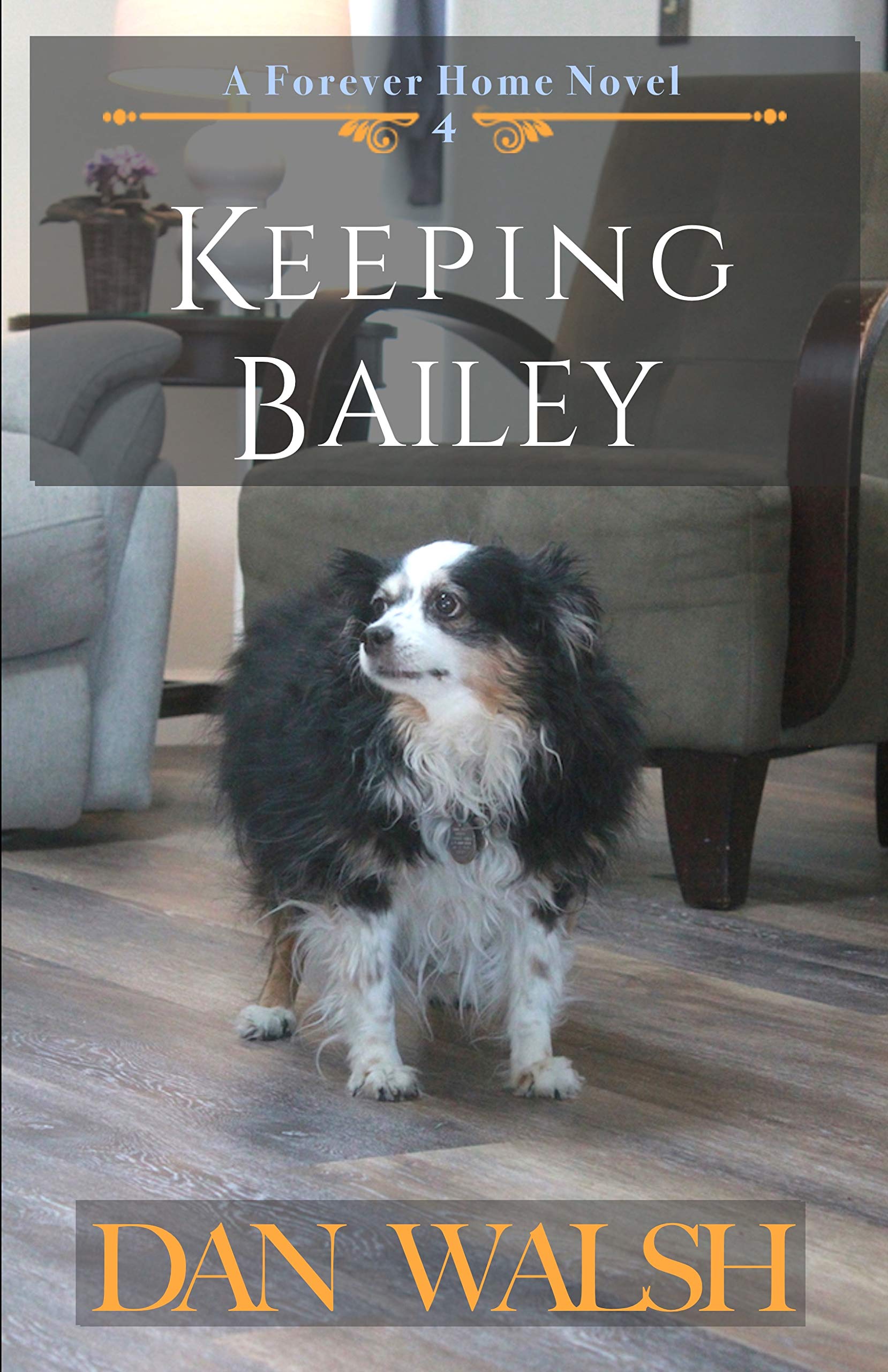 Keeping Bailey book cover
