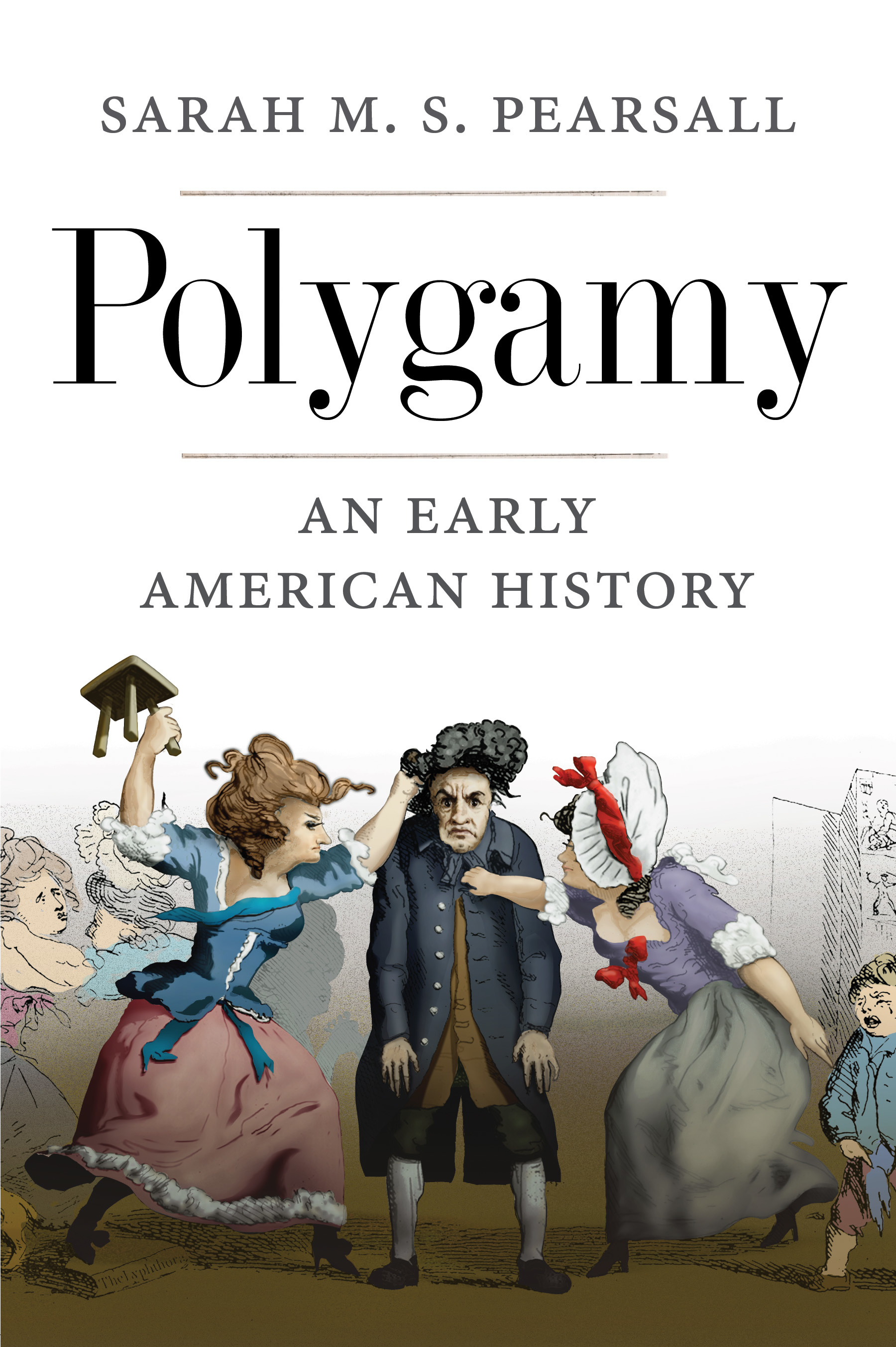 Polygamy book cover
