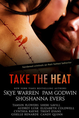 Take the Heat book cover