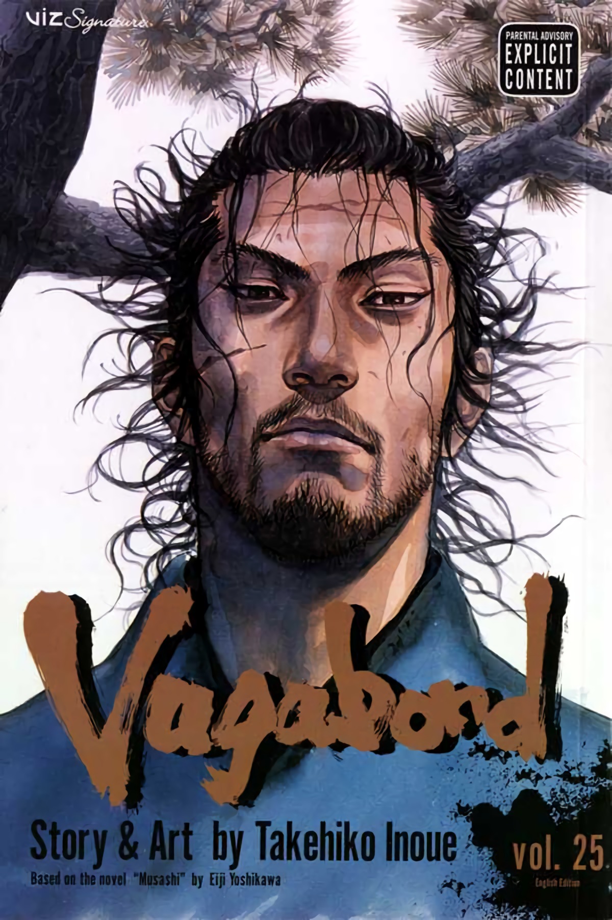 Vagabond, Volume 25 book cover