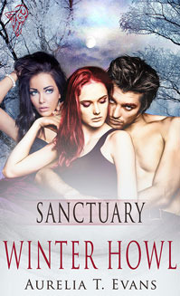 Sanctuary book cover 1
