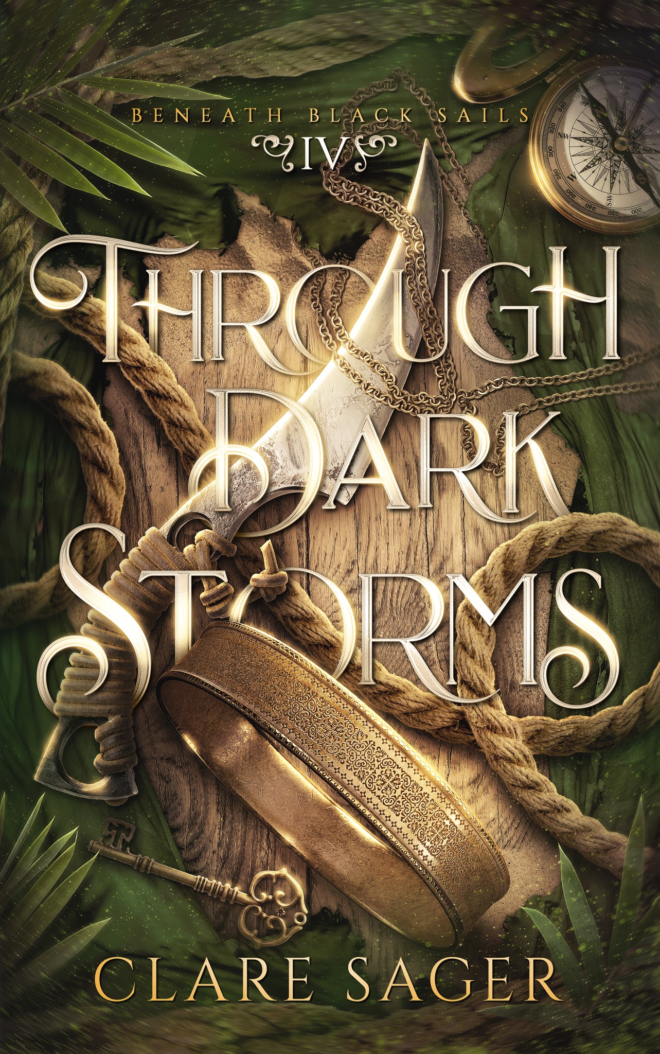 Through Dark Storms book cover
