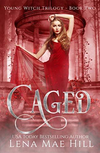 Young Witch book cover 2