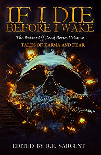 If I Die Before I Wake book cover