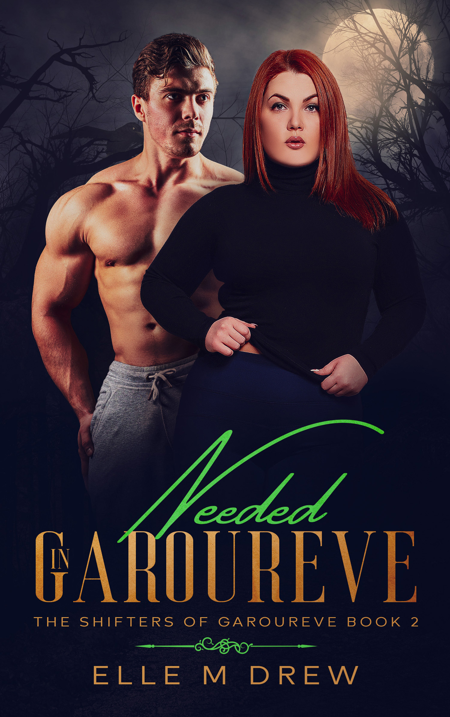 The Shifters of Garoureve book cover 1