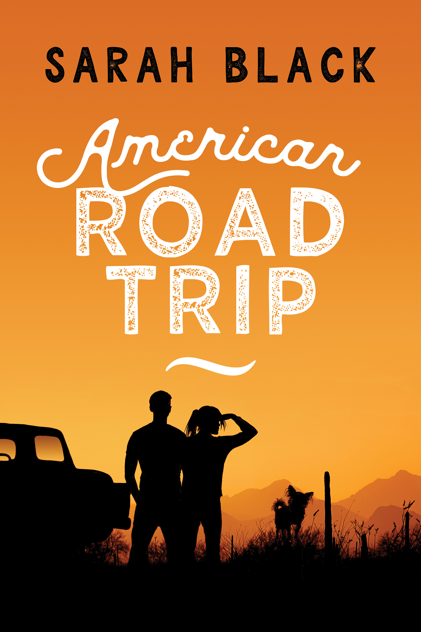 American Road Trip book cover
