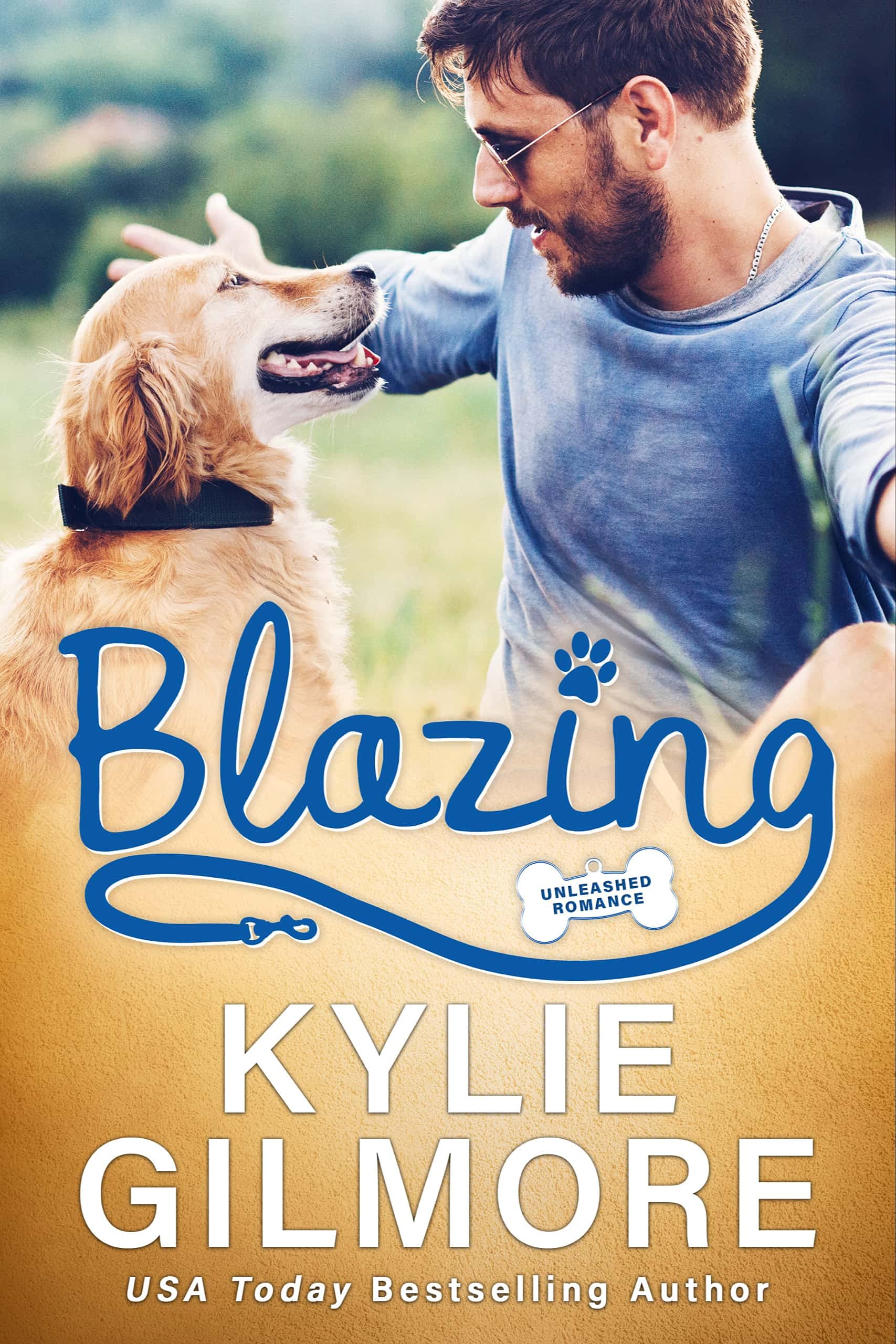 Blazing book cover