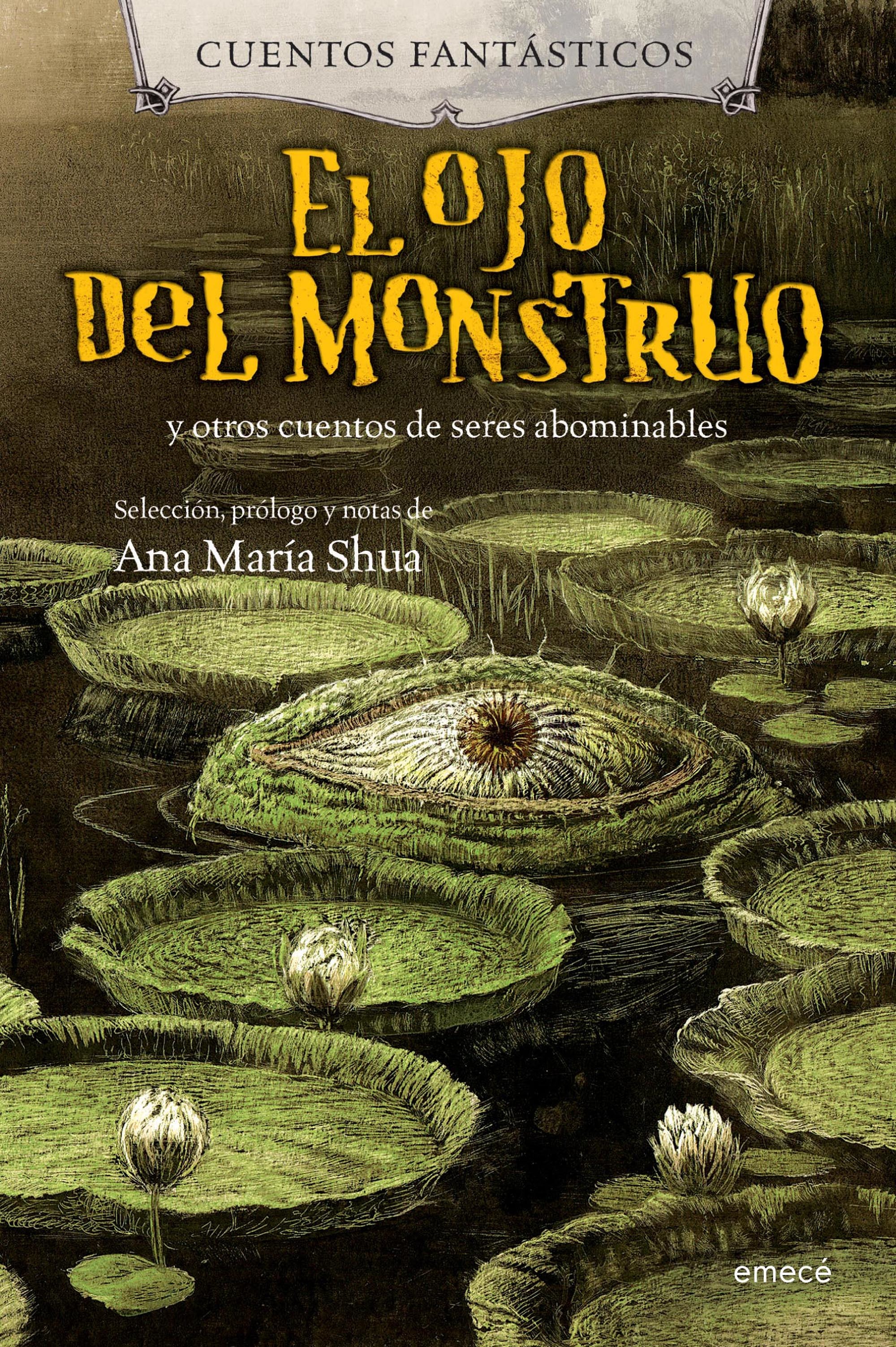 Cuentos fantásticos book cover
