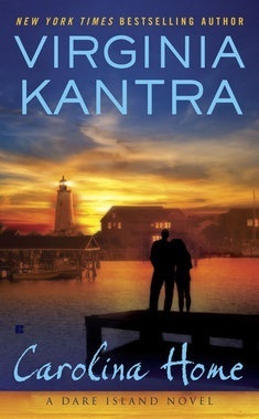 Dare Island book cover 1