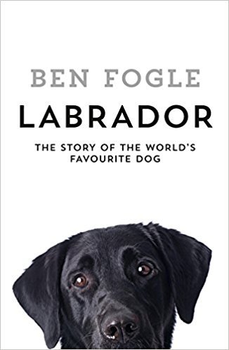 Labrador book cover