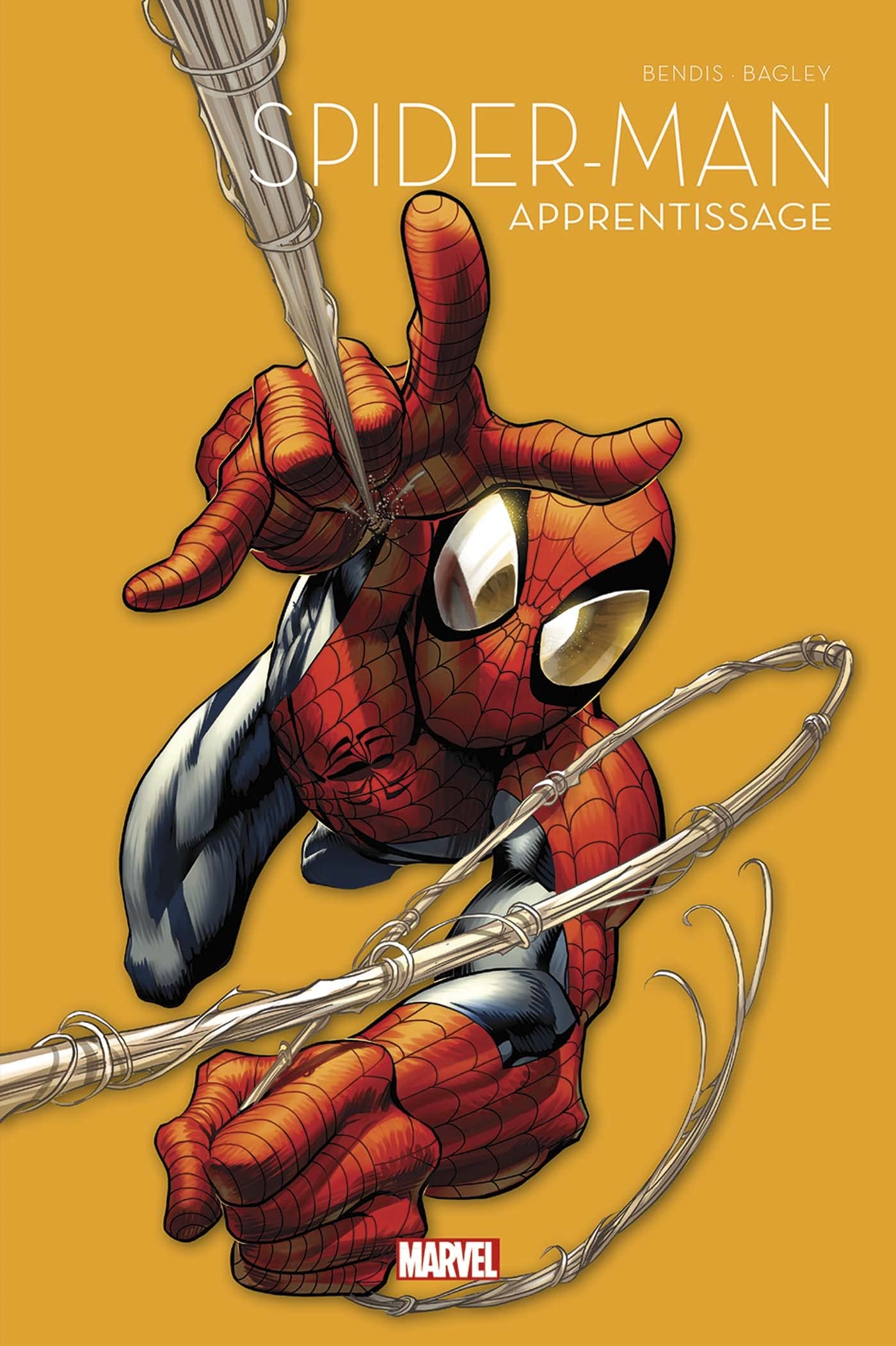 Spider-Man book cover