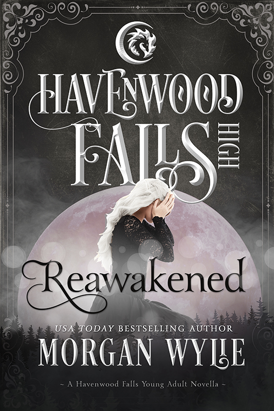 Havenwood Falls High book cover 2