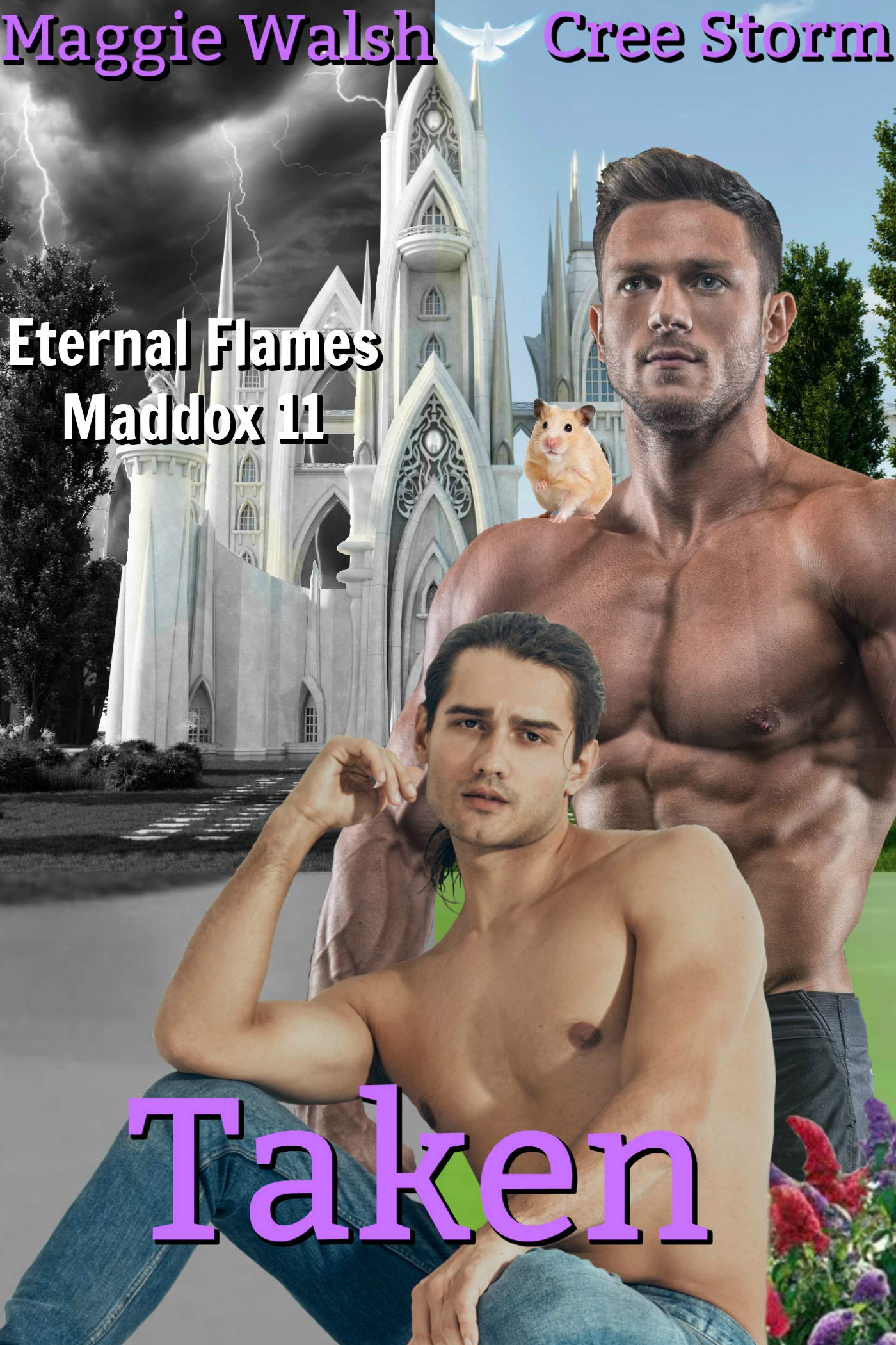 Taken book cover
