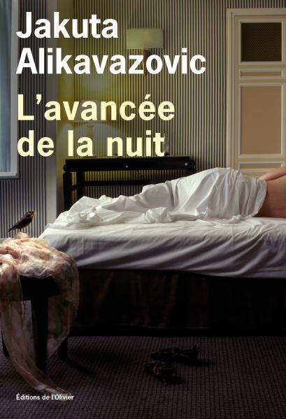Night As It Falls book cover